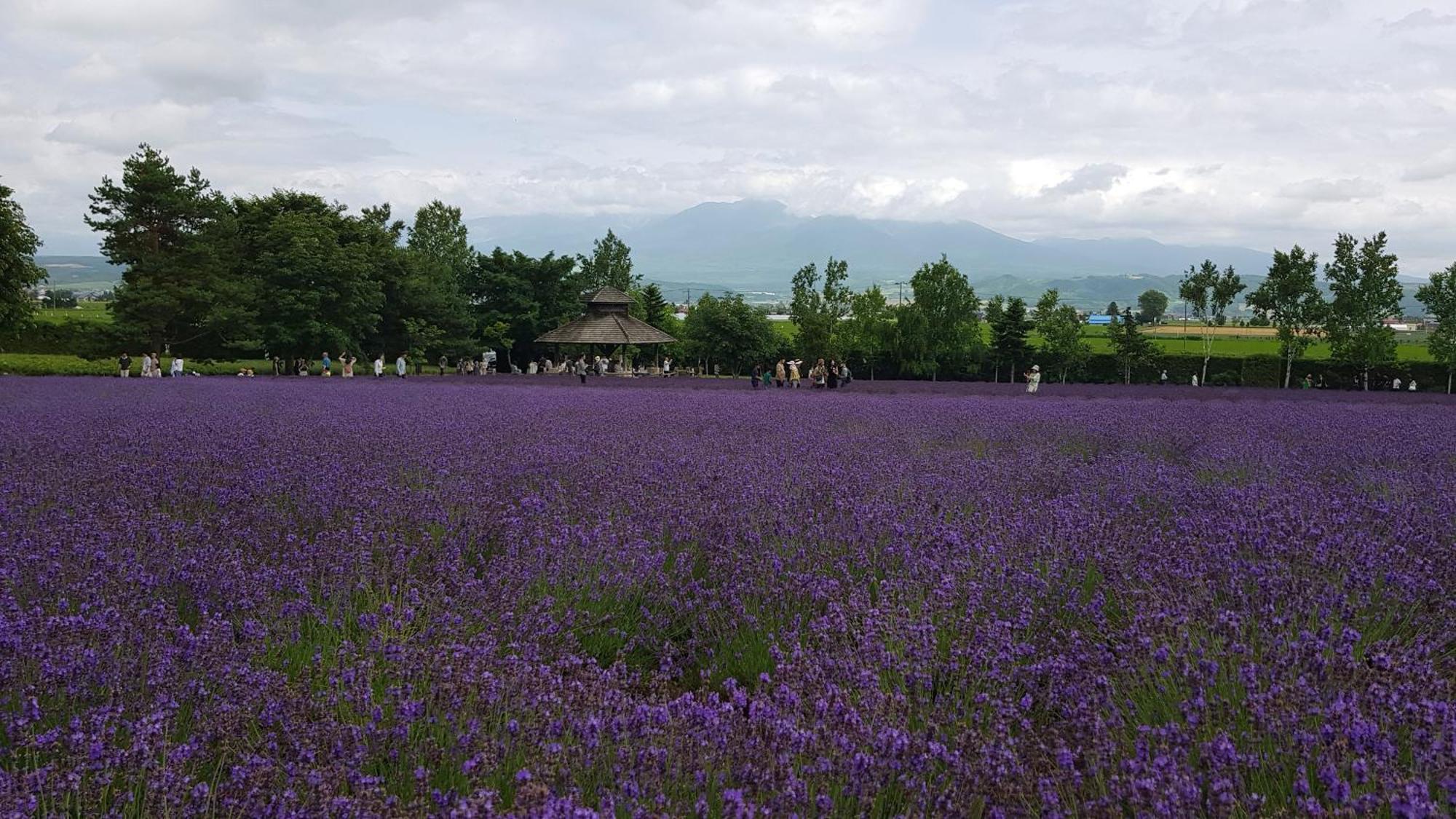 Furano B&B المظهر الخارجي الصورة