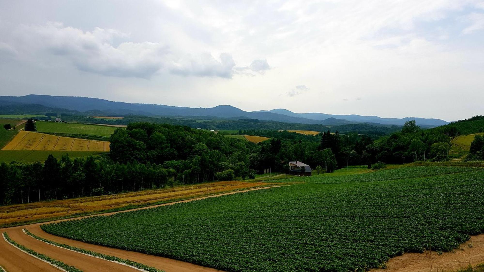 Furano B&B المظهر الخارجي الصورة