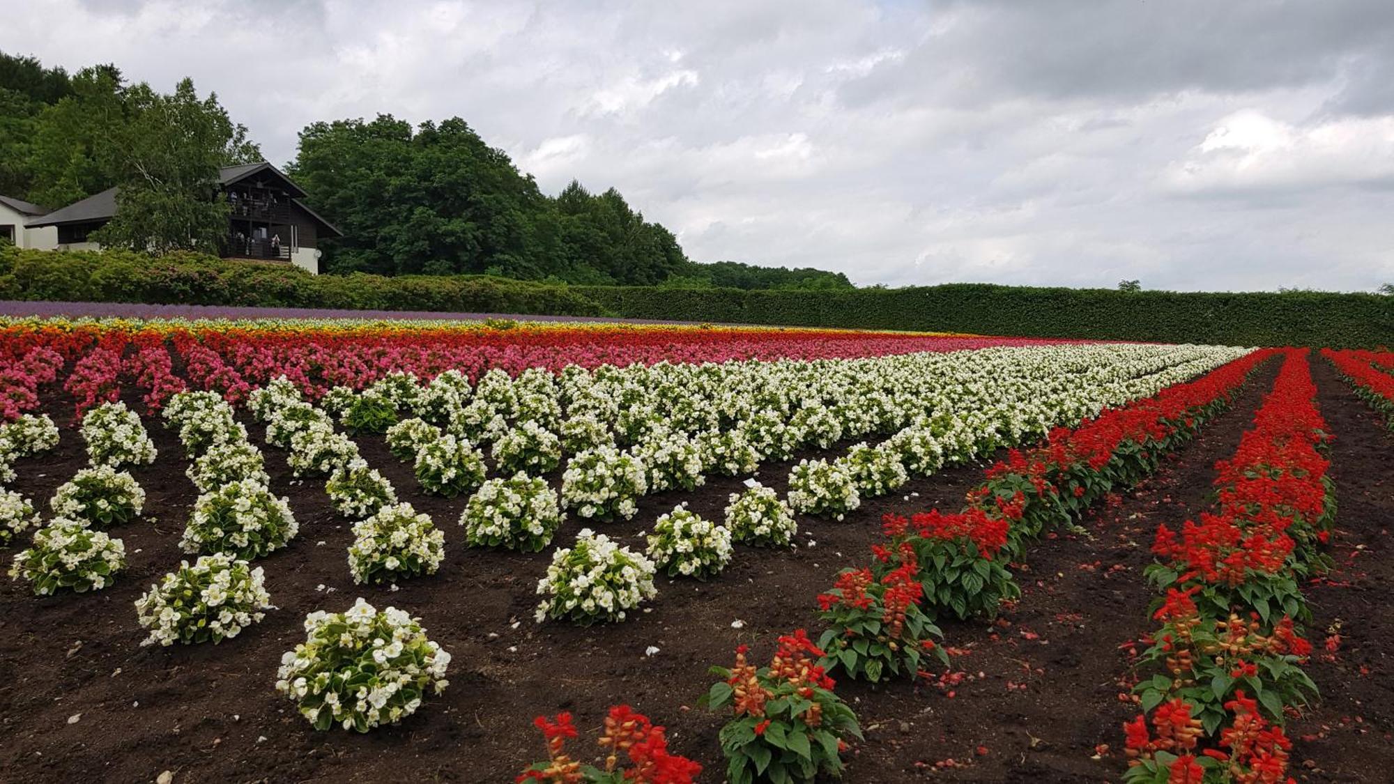 Furano B&B المظهر الخارجي الصورة
