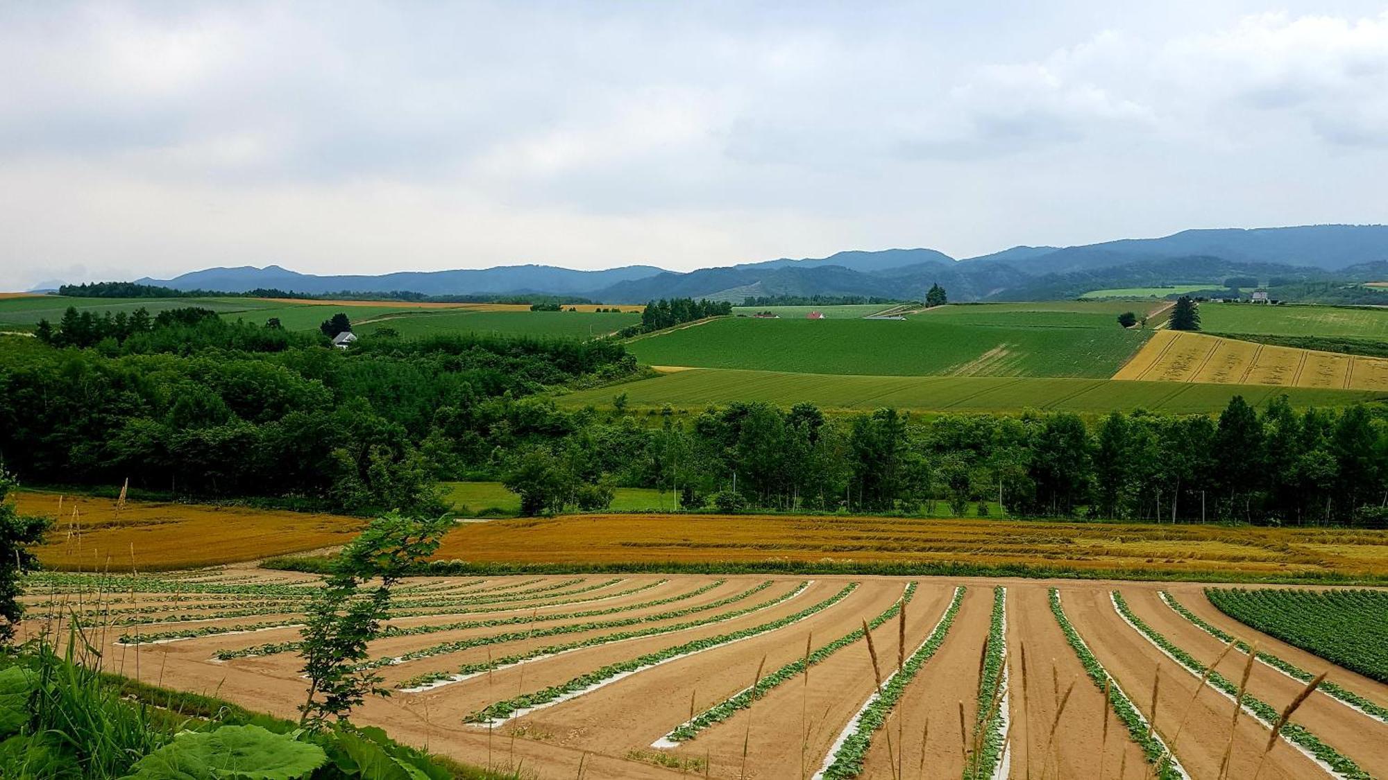 Furano B&B المظهر الخارجي الصورة